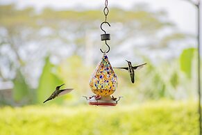 Hotel Campestre Café Café