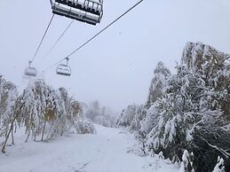 L'AnsloBoys Montagne
