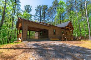 Bucks and Bunks - Brand new Cabin Come Relax or Watch TV Outside Firep
