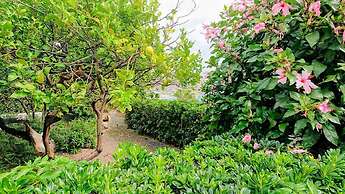 Hotel Casa Rosa Sea & Spa