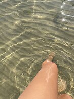 Marty's Beachfront Smart Homes