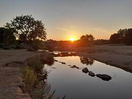 Charming Gnome Cottage, in Devon Near Sidmouth