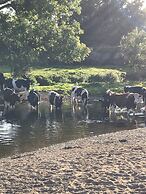 Charming Gnome Cottage, in Devon Near Sidmouth