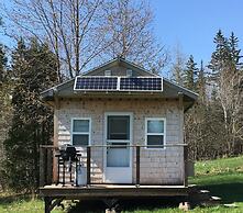 Willow Retreat - Campsite