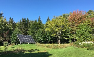 Willow Retreat - Campsite