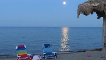 Aloha Beach Club Resort