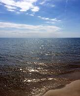 Aloha Beach Club Resort