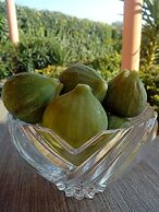 Apartment With one Bedroom Mendula Apartments