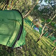 Room in B&B - Camping Retreat Mountain Sanctuary
