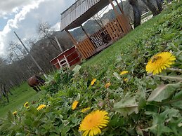 Room in B&B - Camping Retreat Mountain Sanctuary