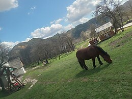 Room in B&B - Camping Retreat Mountain Sanctuary