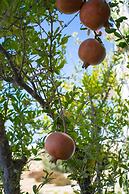 Private Villa Agia Irini, 350 Meter to the Beach for 4 Guests With Poo