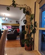 Awsome 2 Bedroom Apartment in Makarska