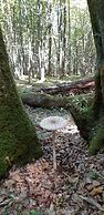 Green Retreat Kuca uz Rijeku za Savrseni Odmor