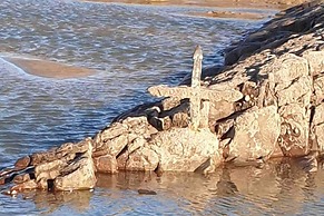 1 Bed Chalet in Bude - Parking & Wifi