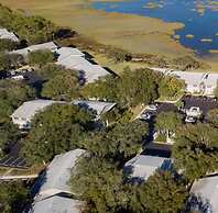 Canopy Shore