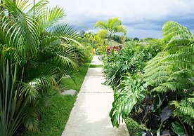 Panorama Pueblo Tapao