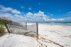 Sand Dollar #205