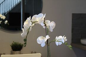 Charming Countryside Cottage, Diptford Near Totnes