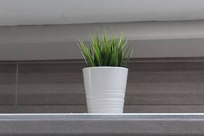 Charming Countryside Cottage, Diptford Near Totnes