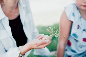 Næsgaarden Pensionat