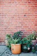 Næsgaarden Pensionat