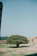 Næsgaarden Pensionat