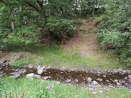 Nant Y Celyn