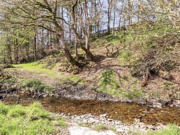 Nant Y Celyn
