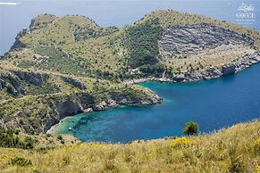 Agave - Blu Sorrento