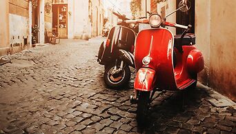 Agave - Blu Sorrento