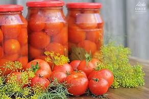 Villa Islamorada - Pool and Sea View