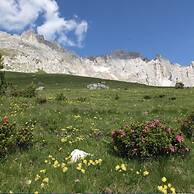 Lovely apt With Garden in South Tyrol
