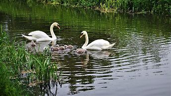 Swan Lodge With Hot Tub, Sauna and Treatments