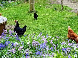 Swan Lodge With Hot Tub, Sauna and Treatments