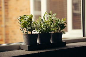 Impeccable 1-bed Apartment in Birmingham