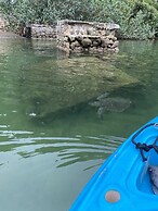 Desfrute dessa maravilha.