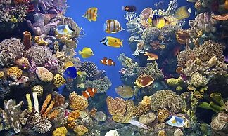 City Stadium One Bedroom Luxe