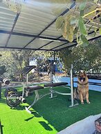 Paradise Pool Resort