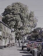 Modern 3-bed House on Tarporley High Street