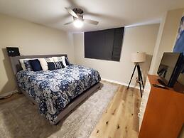 Sand Dollar 404