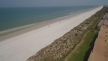 Sand Dollar 404