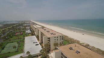 Sand Dollar 404