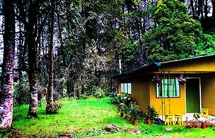 River Nest Lodge Costa Rica