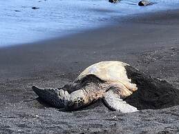 Nautical Theme Garden View Studio - Kona Islander Inn Condos Condo by 
