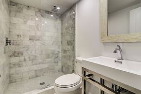 1 Laughing Gull at The Sea Pines Resort