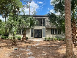 1 Painted Bunting at The Sea Pines Resort