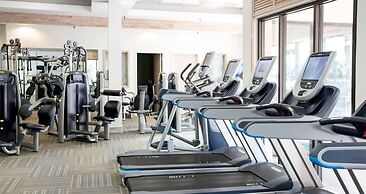 1 Painted Bunting at The Sea Pines Resort