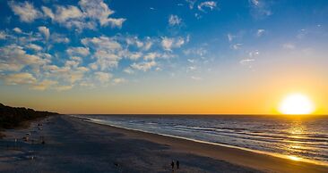 1 Painted Bunting at The Sea Pines Resort