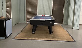 2 Belted Kingfisher at The Sea Pines Resort